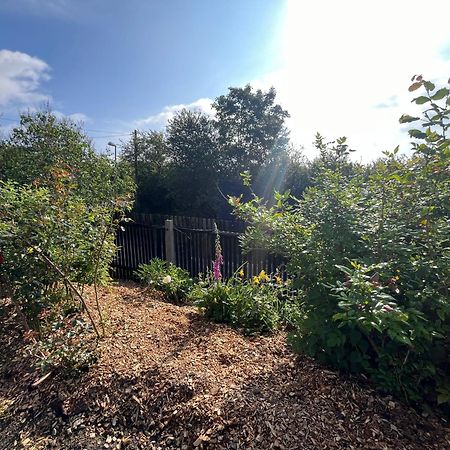 Tolles Ferienhaus Frohnatur Mit Sauna In Ruhiger Lage Plauen Kültér fotó