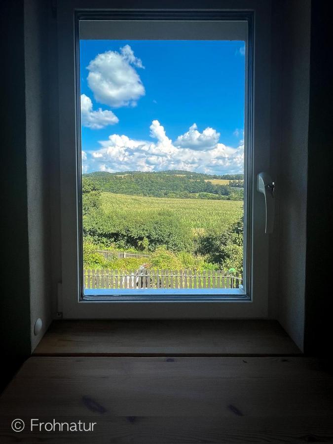 Tolles Ferienhaus Frohnatur Mit Sauna In Ruhiger Lage Plauen Kültér fotó